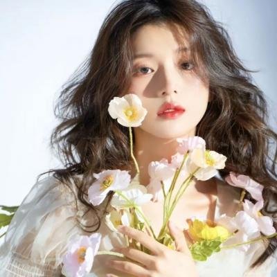 降龙神掌苏乞儿